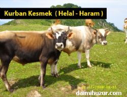 Kurban Kesmek ( Helal ve Haramlar )